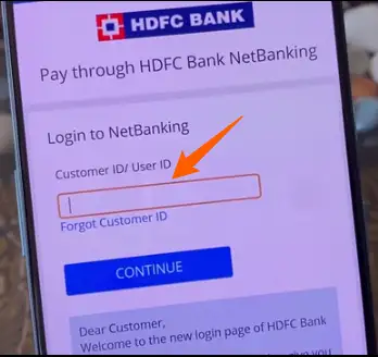 internet banking payment interface